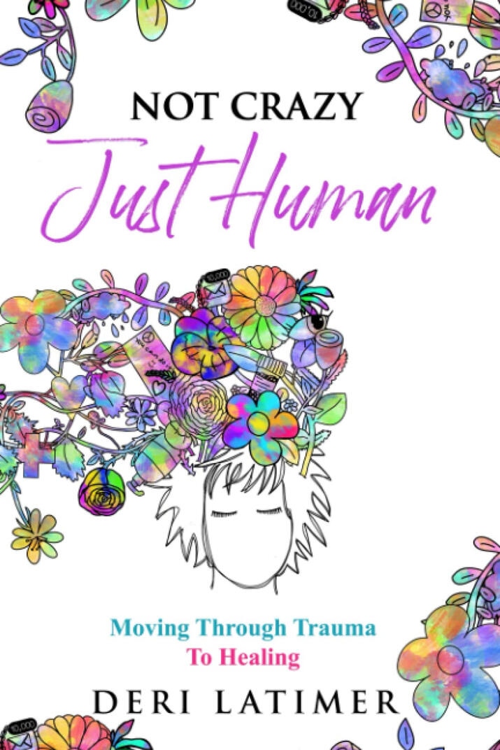 Not Crazy Just Human Book Cover